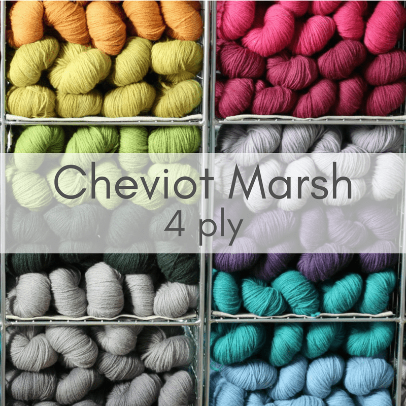 Cheviot Marsh 4ply