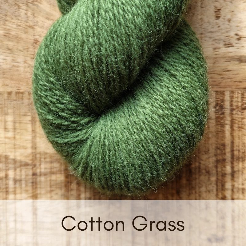 Cheviot Marsh - 4 Ply (full skein) - Image 6