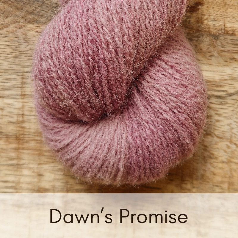 Cheviot Marsh - 4 Ply (full skein) - Image 7