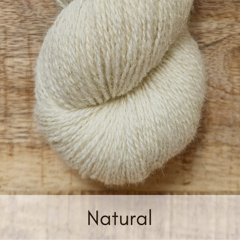 Cheviot Marsh - 4 Ply (full skein) - Image 21