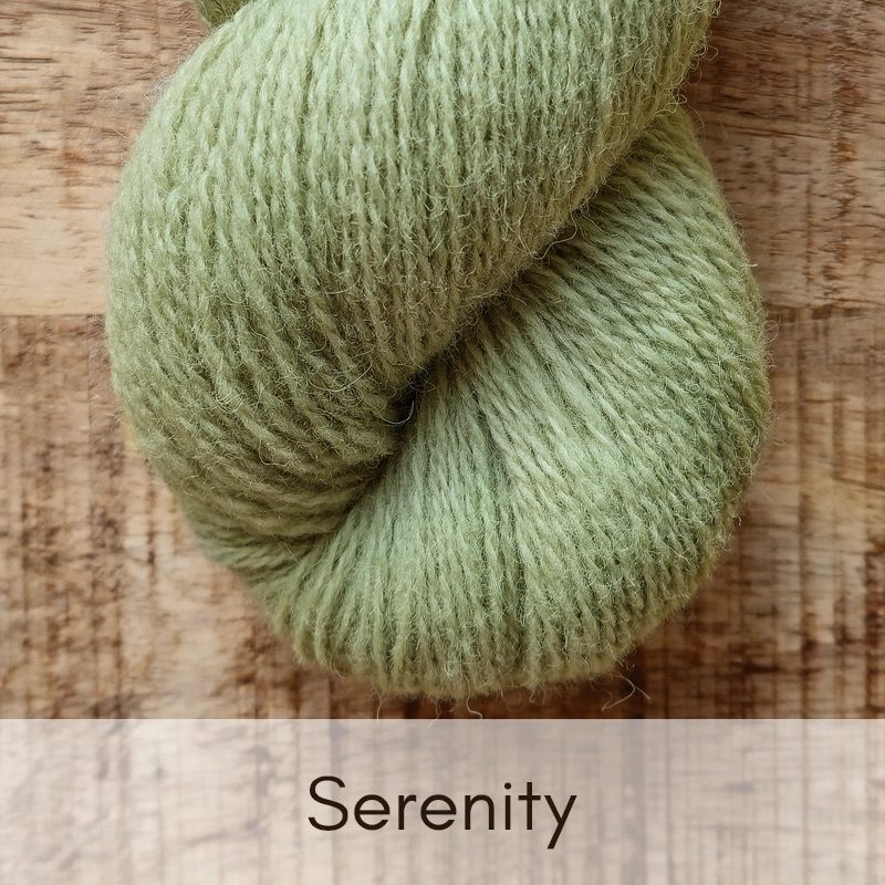 Cheviot Marsh - 4 Ply (full skein) - Image 24
