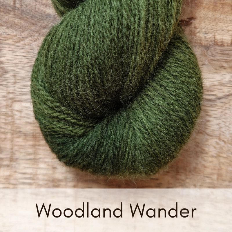 Cheviot Marsh - 4 Ply (full skein) - Image 27